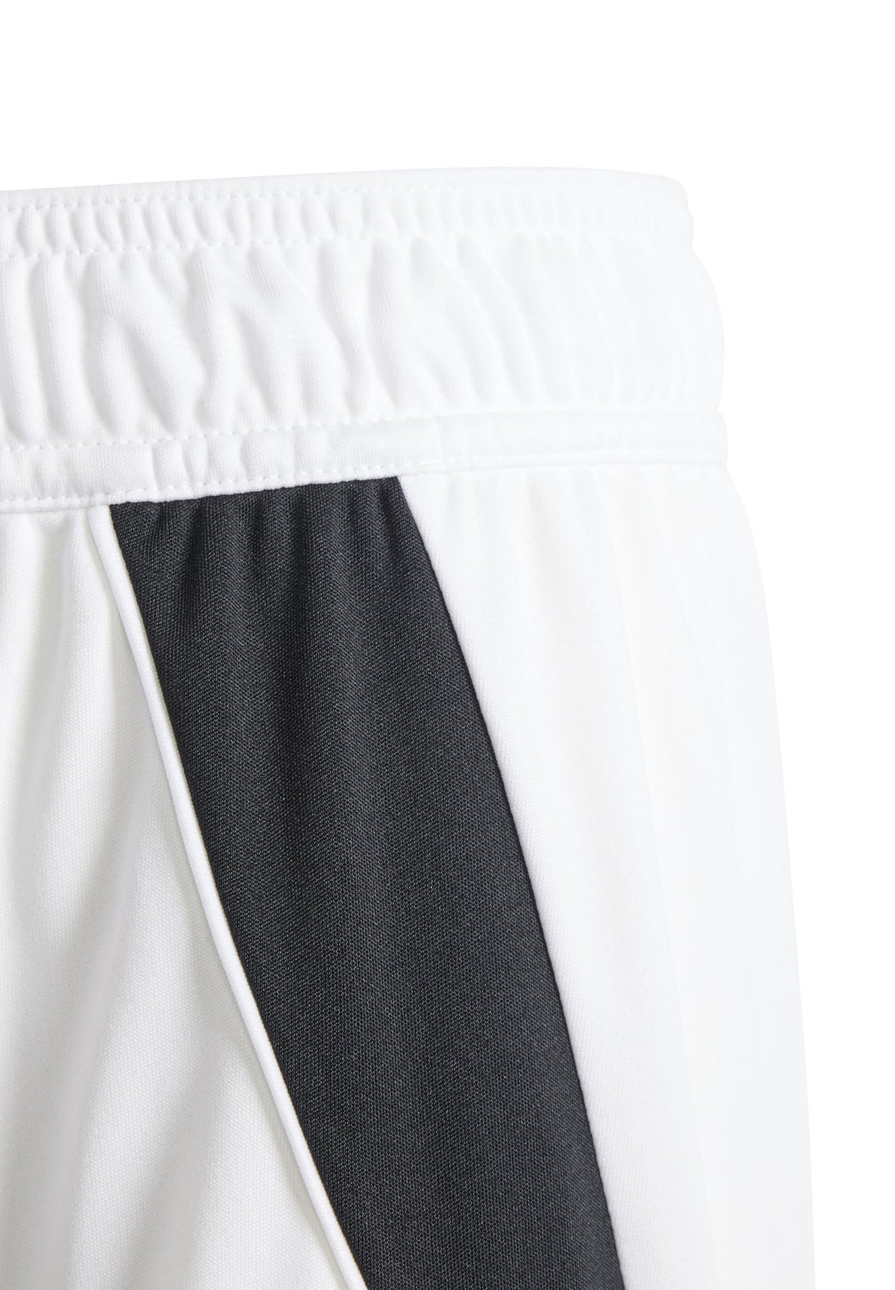 adidas Performance TIRO 24 - Sportshorts - wit/zwart