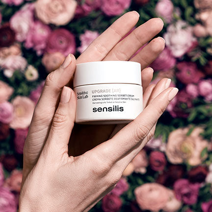 Sensilis-Upgrade