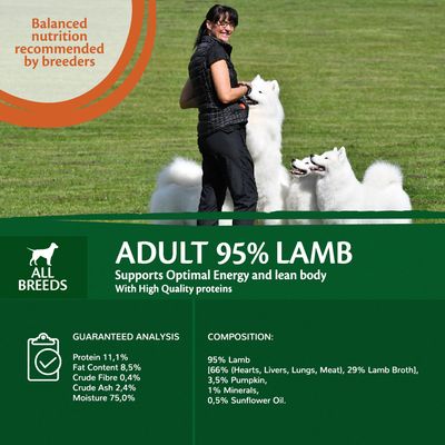 Alimento húmedo para perros Wellness Core Adult con 95 % de proteína única de cordero y calabaza.