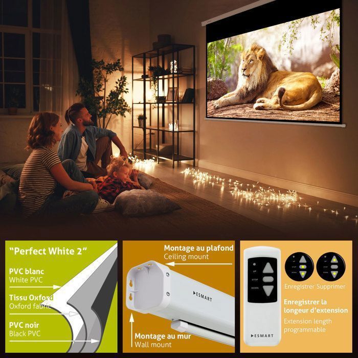 ESMART Professionnel MIMOTO Écran de Projection Moteur 295 x 165 cm (133