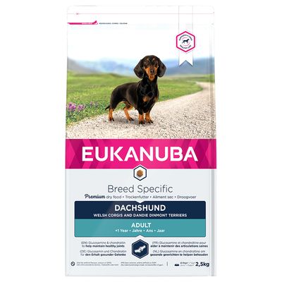 Eukanuba Dackel (Erwachsener)