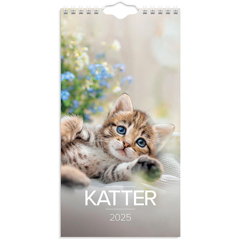 Väggkalender katter mini 2025