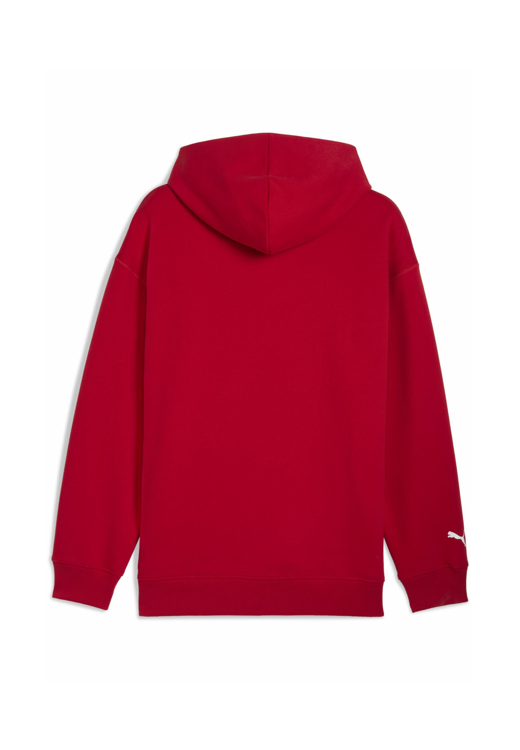 Puma Hoodies