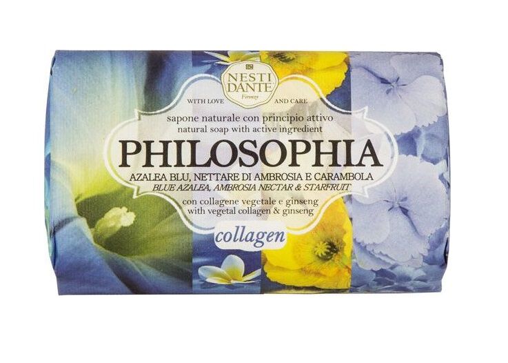 Nesti Dante Philosophie