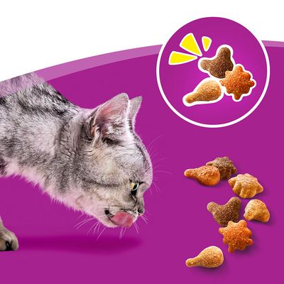Whiskas Crunch con pollo, tacchino e anatra