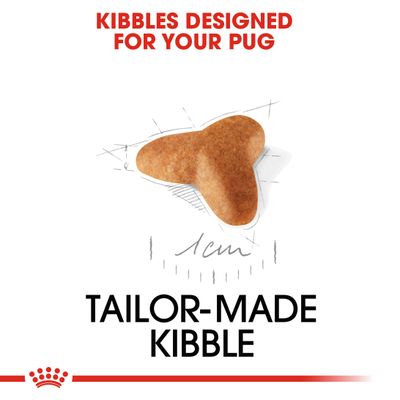 Κουτάβι Royal Canin Pug
