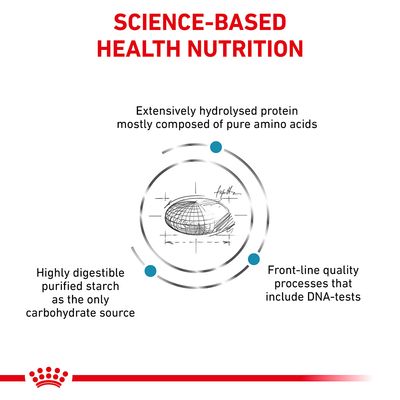 Royal Canin Vétérinaire Chat - Anallergénique