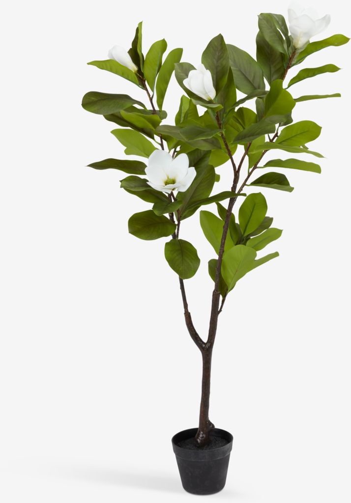 SPINDEL Umelá rastlina SPINDEL H120cm magnólia
