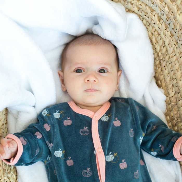 Three Kilos Seven Sleep-Well Apple Pattern