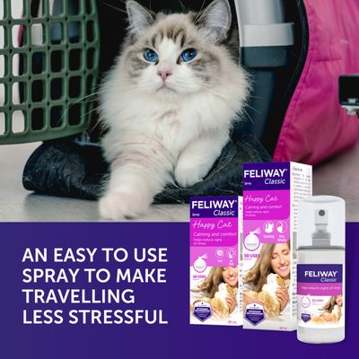 Spray clásico Feliway®