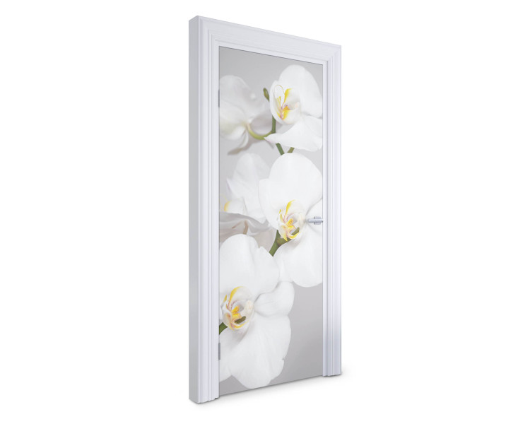 Naklejka na drzwi Białe orchidee 75x205 cm Fototapeta