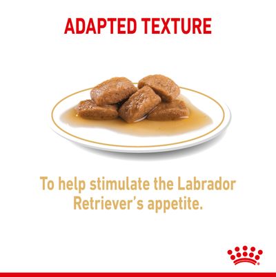 Royal Canin Labrador Retriever Ενήλικη σε Σάλτσα, Σκύλος ...