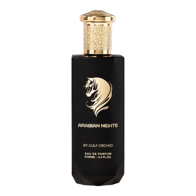 Persijos įlankos orchidėja „Arabian Nights“