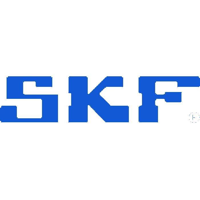 Kit de Correia Dentada SKF + Bomba de Água VKMC 06010