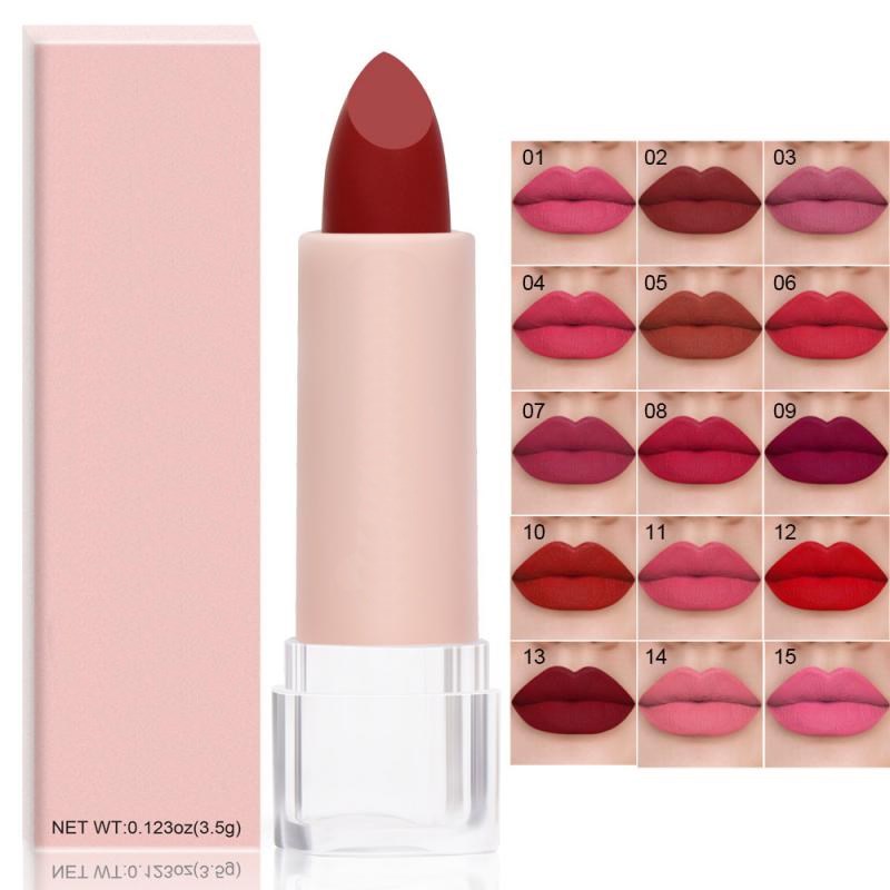 Rouge à lèvres professionnel multicolore longue tenue, waterproof, mat velours, ne s'estompe pas facilement. Maquillage des lèvres TSLM1