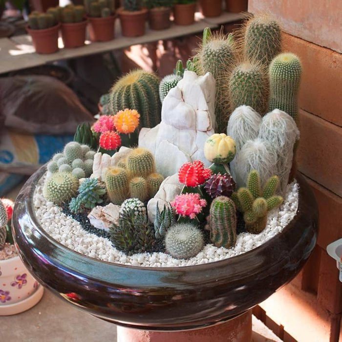 Ghiaia decorativa da giardino, ciottoli per fioriere - Bianca 460 g