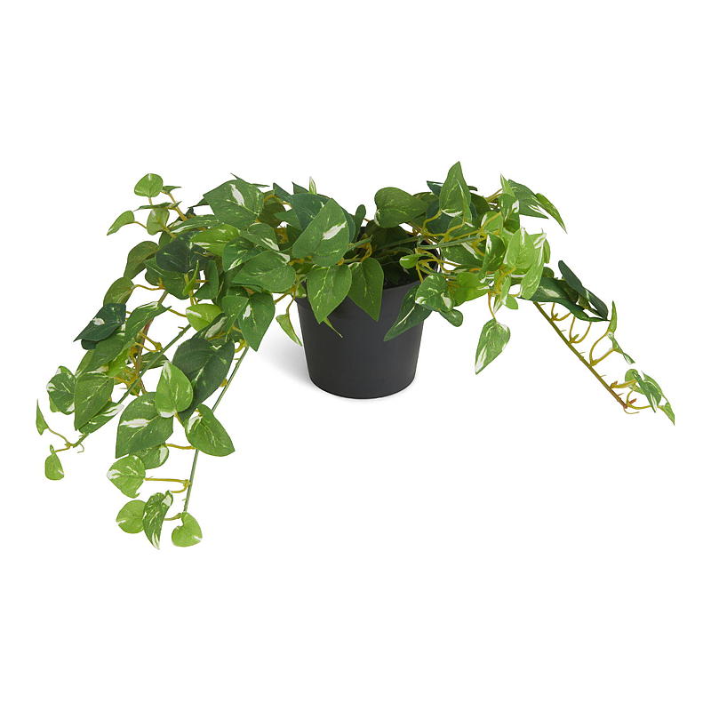 Hjem Vedbend 20 cm kunstig sort potte