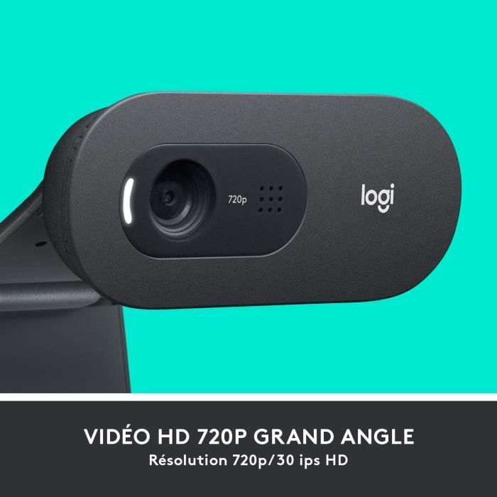 Webcam LOGITECH C505 HD - USB HD 720p - Microfone de longo alcance - Compatível com PC ou Mac - Cinza/Preto