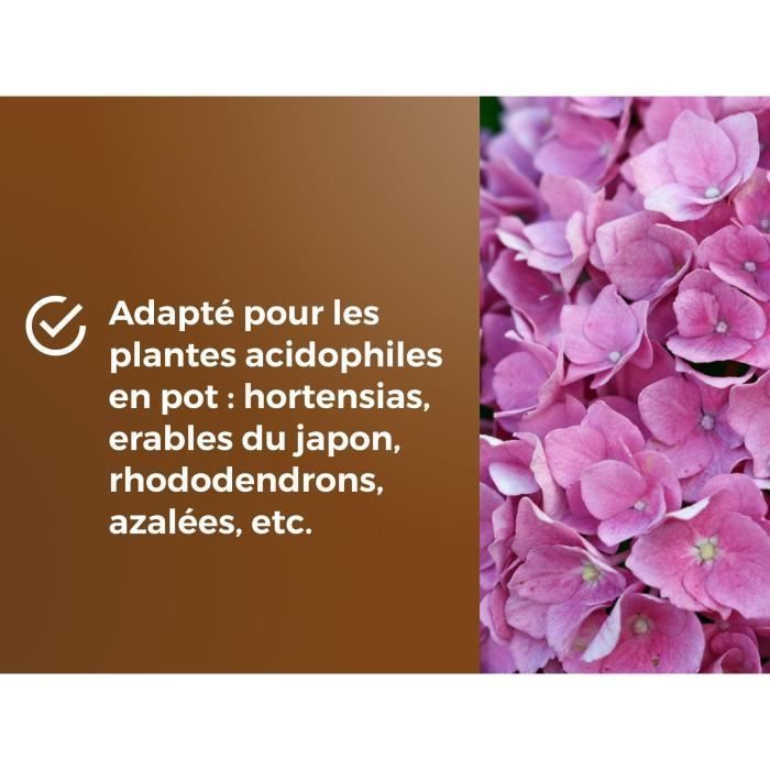 Speciale potgrond voor heideplanten - OR BRUN - OBRTBRU6U - 6L - Betere wortelontwikkeling