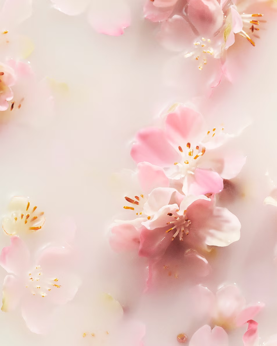 RITUALS OBRED SAKURA RECOVERY BALZAM ZA ROKE BALZAM ZA ROKE