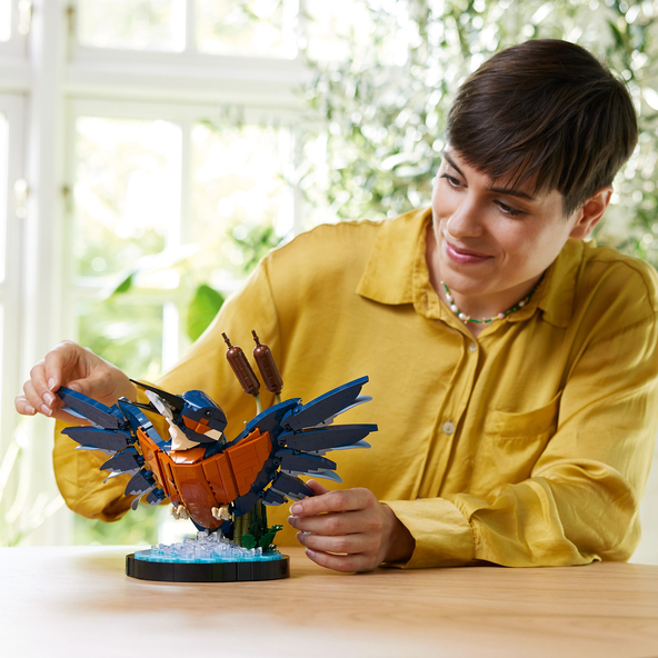 Icons Eisvogel 10331