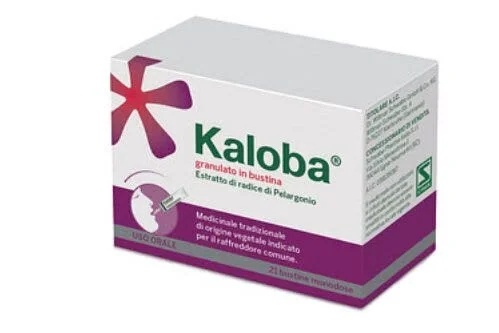 KALOBA Kaloba-granulaat 21 zakjes 800 mg
