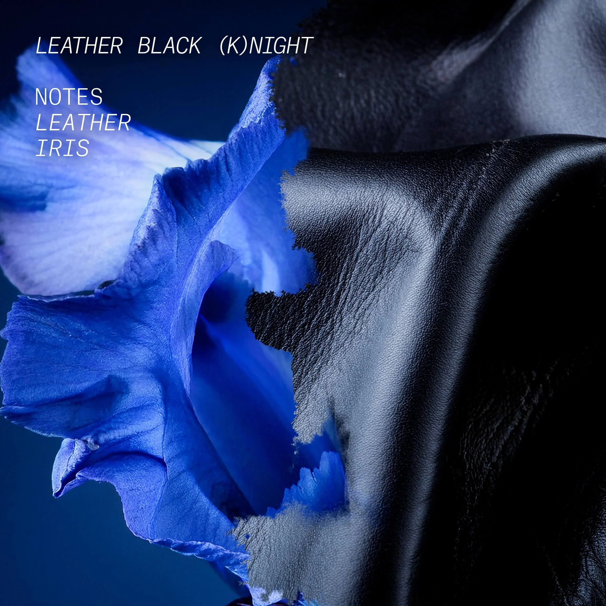 Opus 2 - Sensorial Illusion Leather Black (K)night - Eau de Parfum, Eau de Parfum Unisex