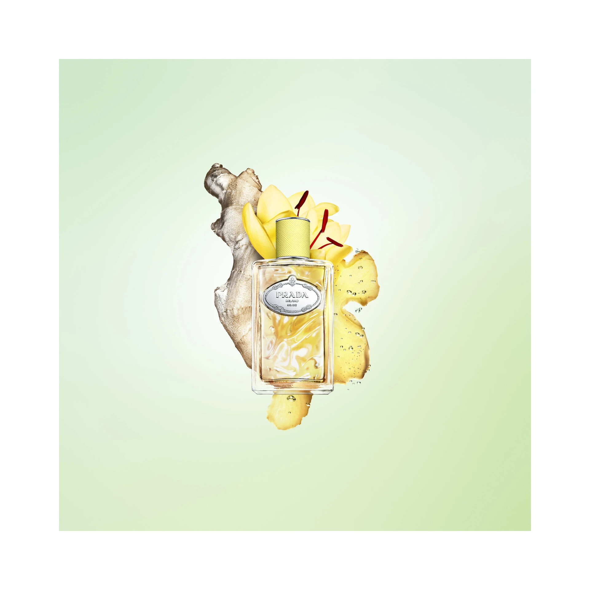 Infusion De Gingembre EdP 100 ml - Prada