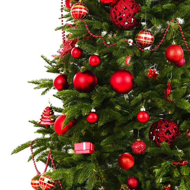 Kerstboom fotoprint badpak