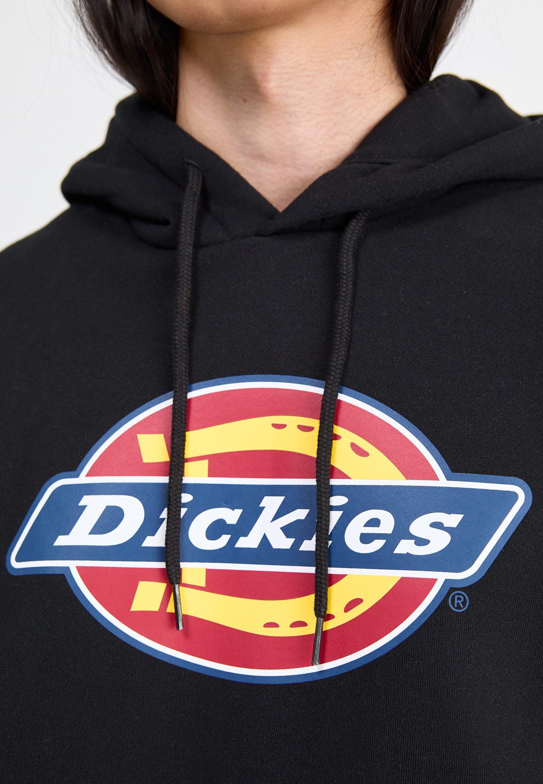 Felpe Dickies