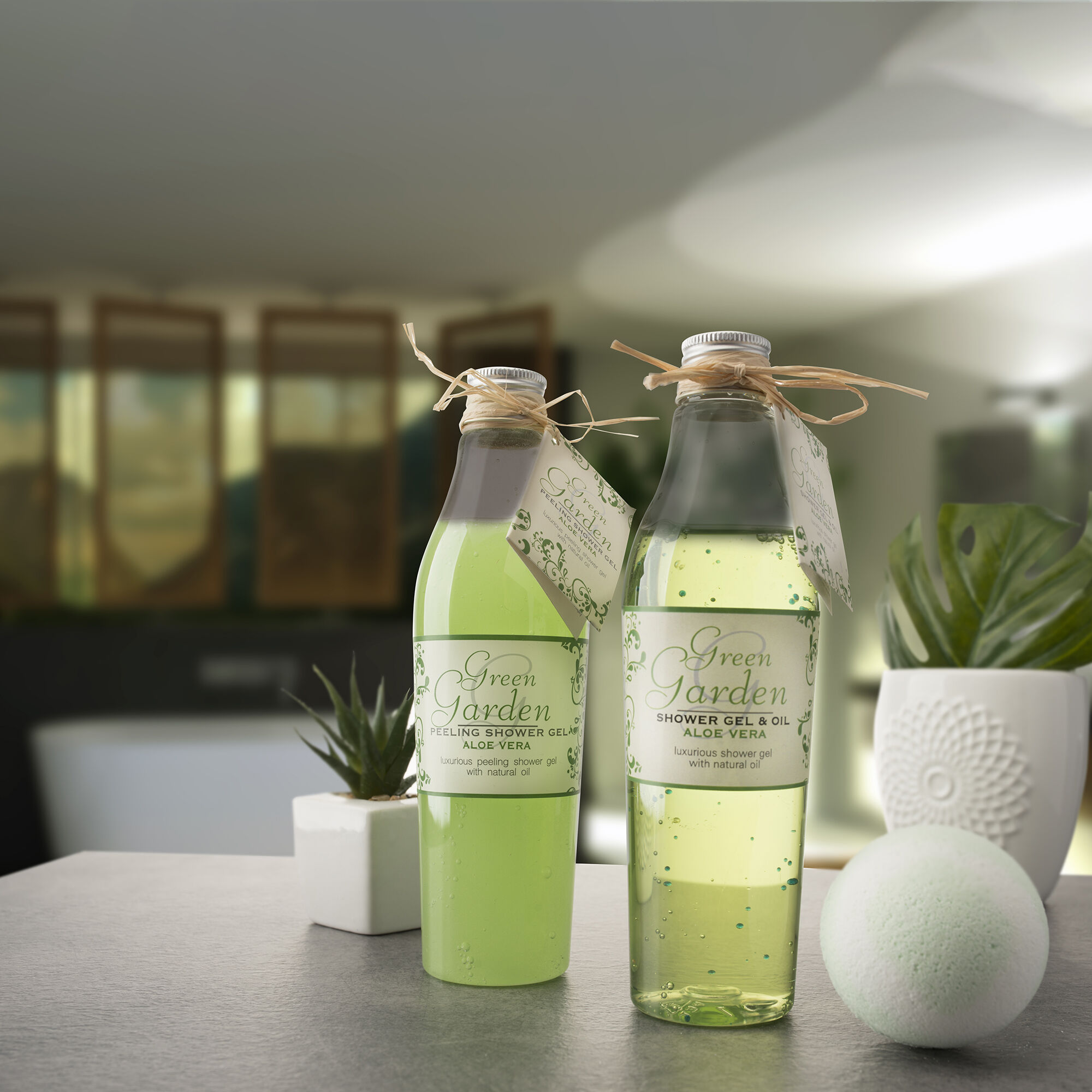 Aloe vera du jardin vert