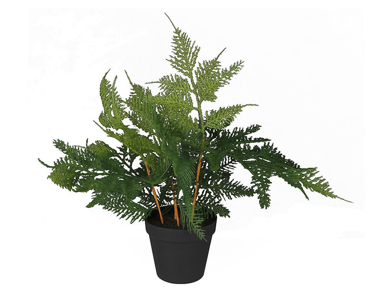 Sztuczna roślina w doniczce Asparagus 45 cm