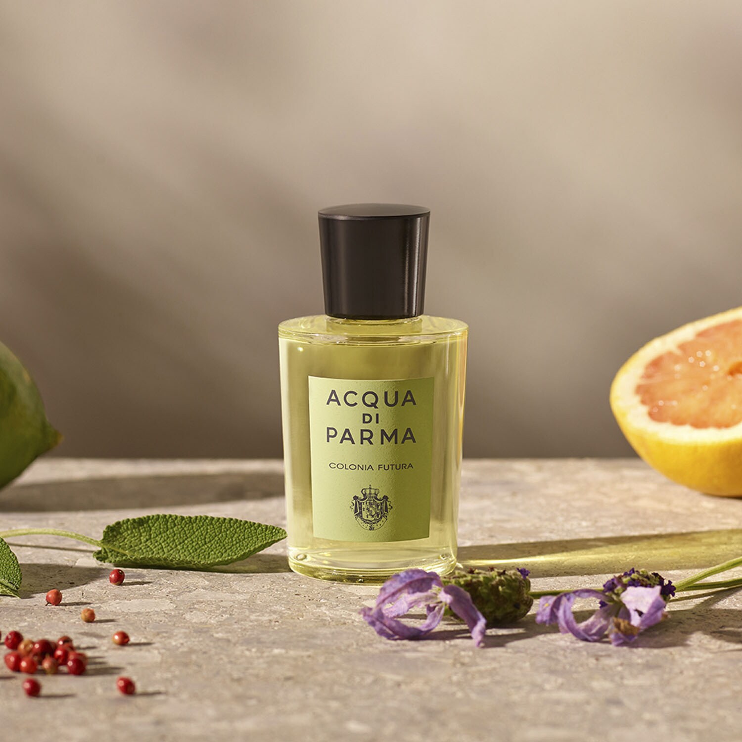 Colonia Futura – cascada colorată a Ferigii Aromatica