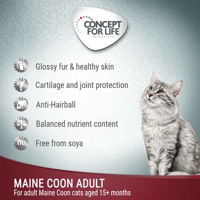 Concept for Life Maine Coon Adult - i ragout
