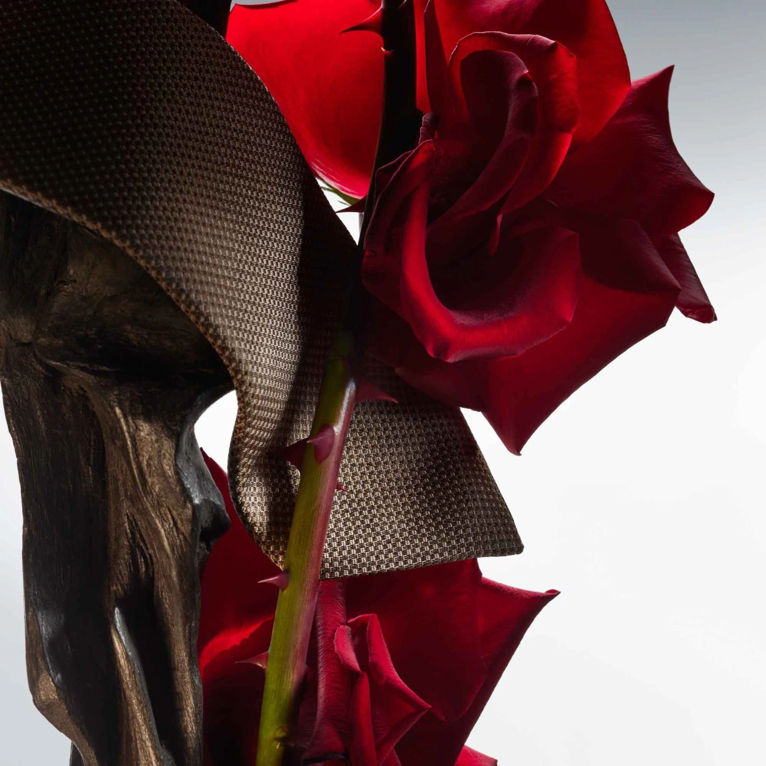 Hugo Boss Courageous Rose