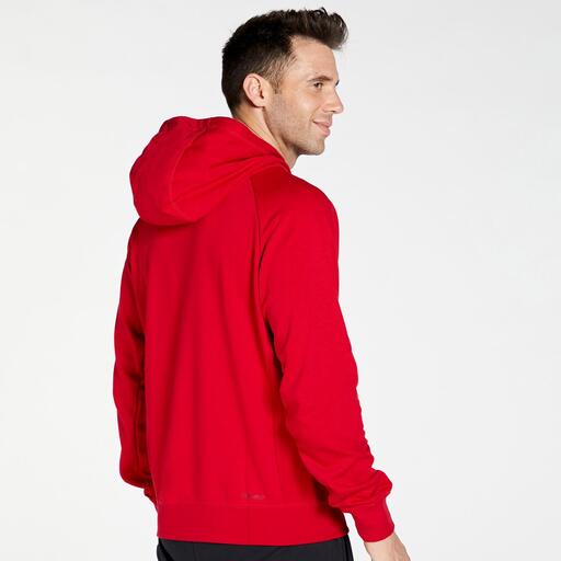 Nike Jordan Dri-fit Sport