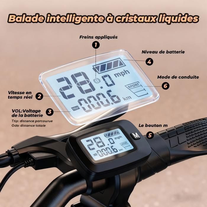 Patinete elétrico dobrável iScooter SR-E3 com assento para adultos e adolescentes, motor de 1000 W, autonomia de 60 km, bateria de 13 Ah.