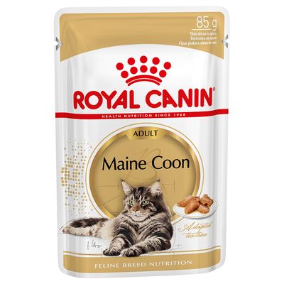 Royal Canin Breed -märkäruoka kissoille, säästöpakkaus 48 x 85 g