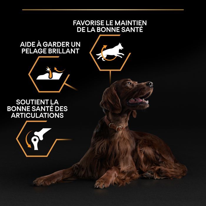 PRO PLAN Large Puppy Athletic Healthy Start Rico en Pollo - 12 KG - Croquetas para cachorros de razas grandes