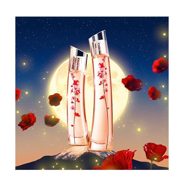 Cutie pentru Ikebana cu flori | 1 unitate