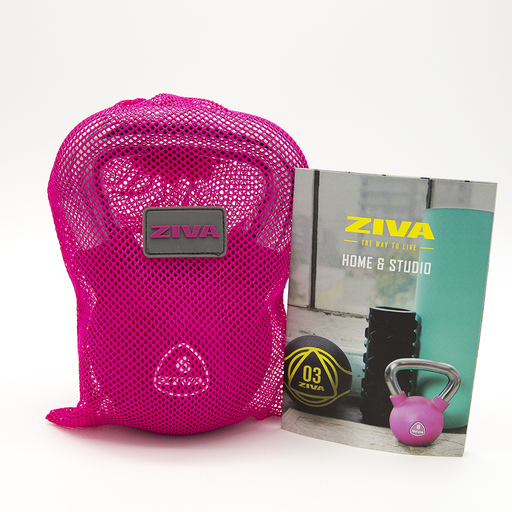 Ziva 6 kg Chic Studio Kettlebell Pink