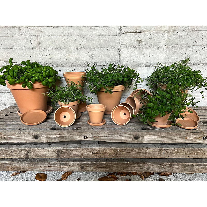 Hemskål Terra classic ø 22,1 cm