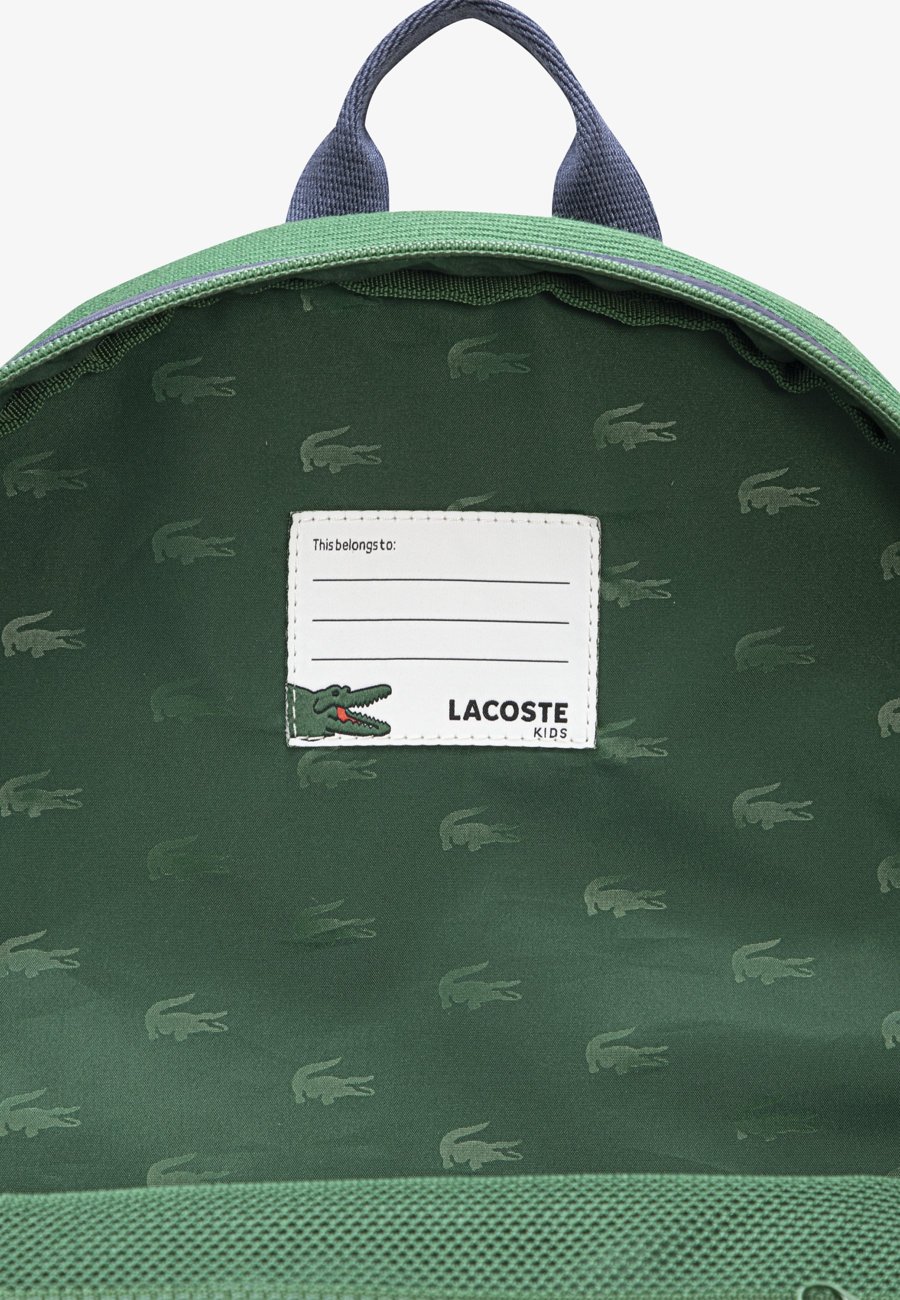 Zaino Lacoste VARSITY UNISEX - Borsa per la scuola - verde