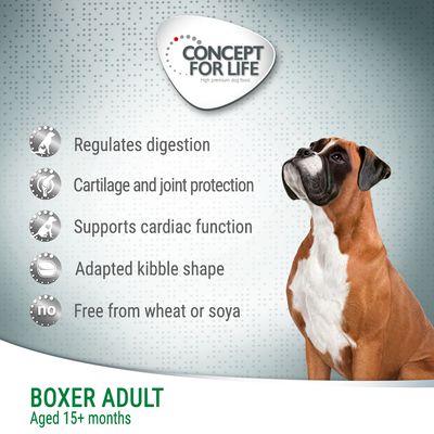 Concept for Life Boxer Voksen
