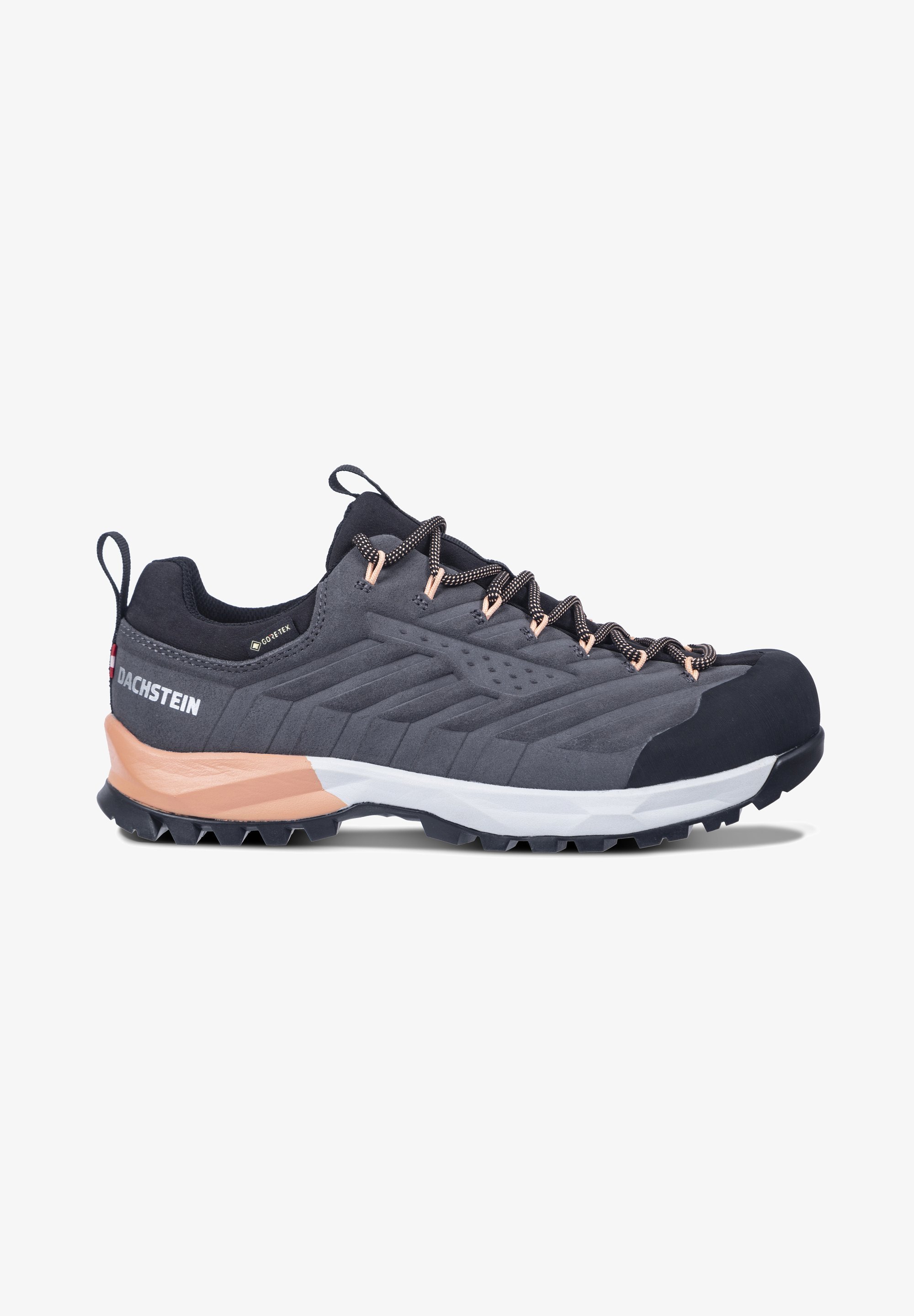 Dachstein SF-21 GTX - Wandelschoenen - graniet