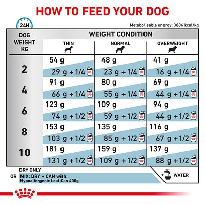 Royal Canin Veterinary Canine Ipoallergenico per cani di piccola taglia