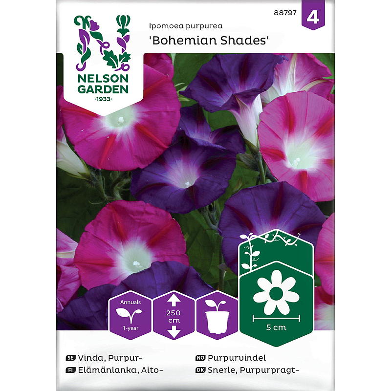 Nelson Gardenin siemenet Purple Vindel Bohemian Nuances