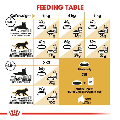 Royal Canin Persană Adult