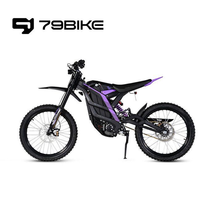 79Bike - Bicicleta eléctrica FALCON PRO, neumáticos todoterreno de 19