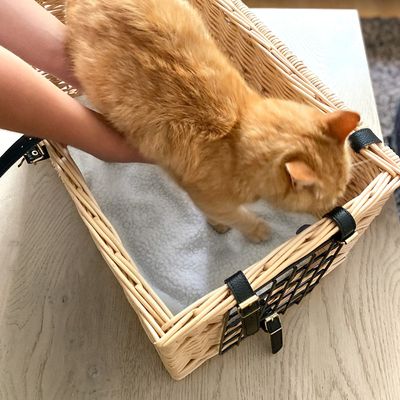 Aumüller Wicker Basket Cat Den